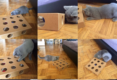 Juguete DIY gato - caja cartón esconder buscar