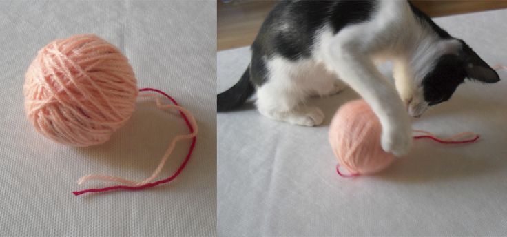 Juguete DIY gato - bola lana